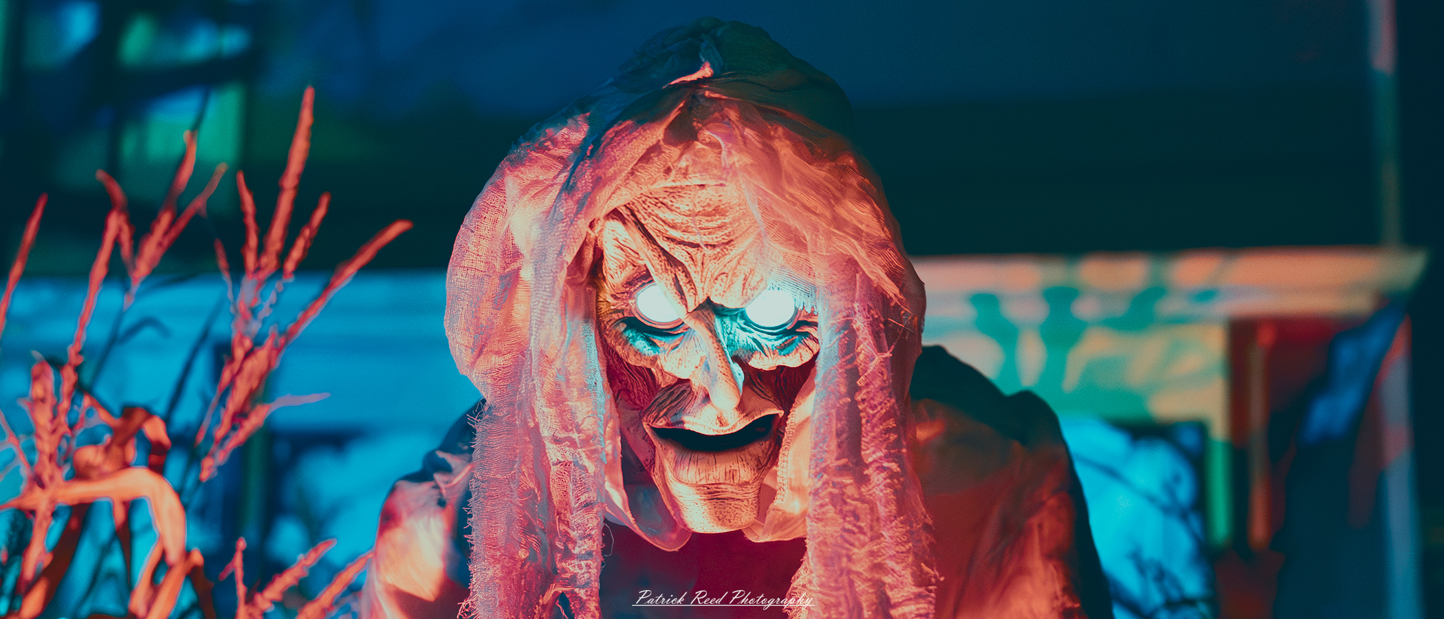 Taken on Tilson Street in Romeo Michigan on Halloween. "A sinister-looking hag with deep wrinkles and an unsettling expression, her glowing eyes piercing through the darkness. The image captures her tattered garments and wild, unkempt hair, set against a shadowy background that adds to the ominous atmosphere."
